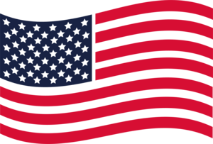 American Flag Logo PNG Vector