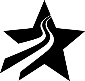 Silver Star Logo PNG Vector