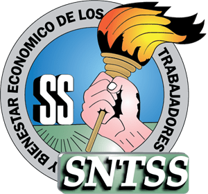 sntss imss Logo PNG Vector