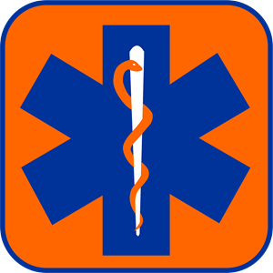 Star Of Life Orange Logo PNG Vector