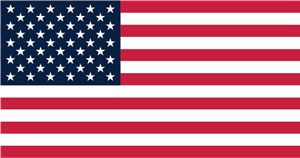 USA Flag Logo PNG Vector