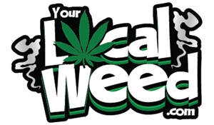 Your Local Weed Logo PNG Vector